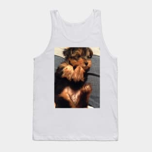 Cute Yorkie Puppy Tank Top